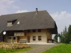 Expérience Mediagon de l'UG à 3453 Heimisbach - Mediagon