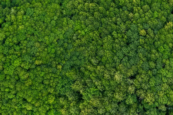 Mediagon geht die extra grüne Meile - Mediagon