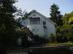 Mediagon entkalkt im Haushalt