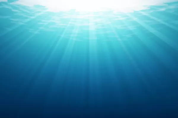 Fragen zur Mediagon Kalkschutzanlage - Mediagon