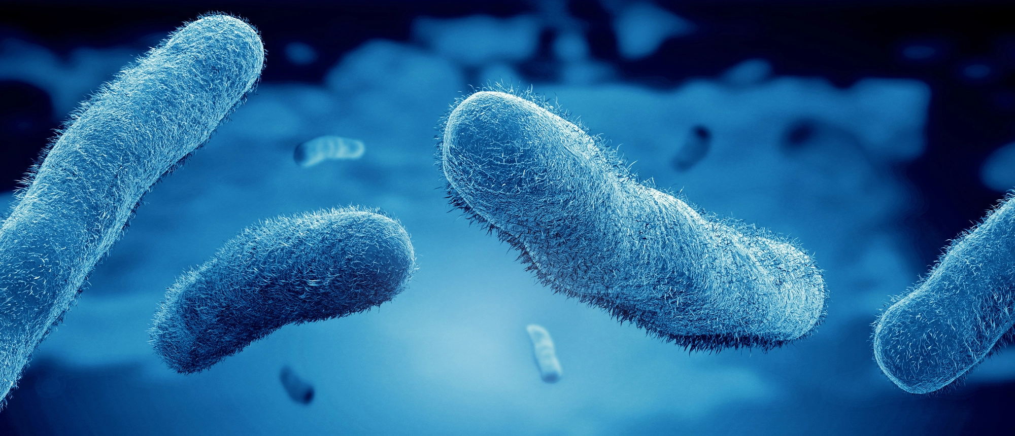 Legionella and limescale deposits - Mediagon