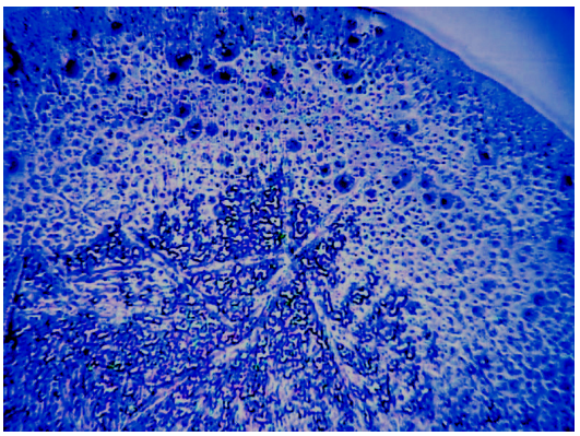 wasseranalyse-enthärtung