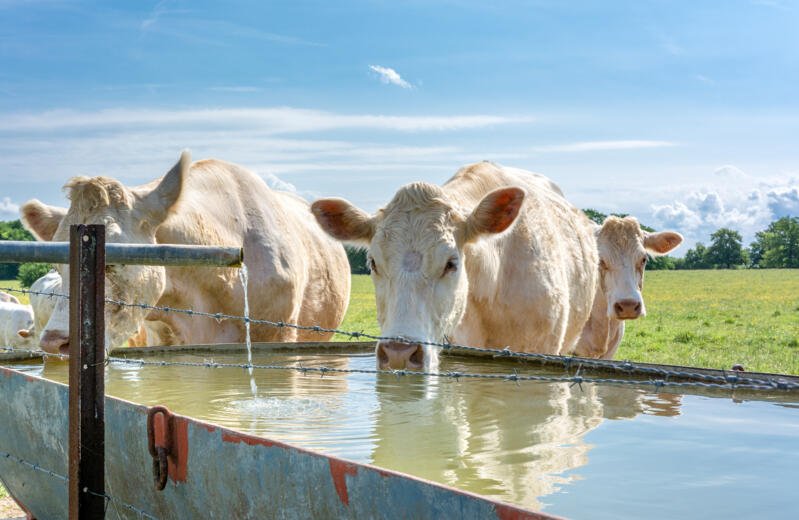 Waterbehandeling voor de landbouw