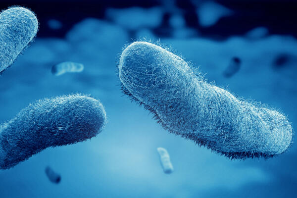 Legionella