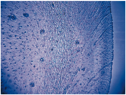 wasseranalyse-enthärten